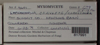 Image Associated With the Occurence